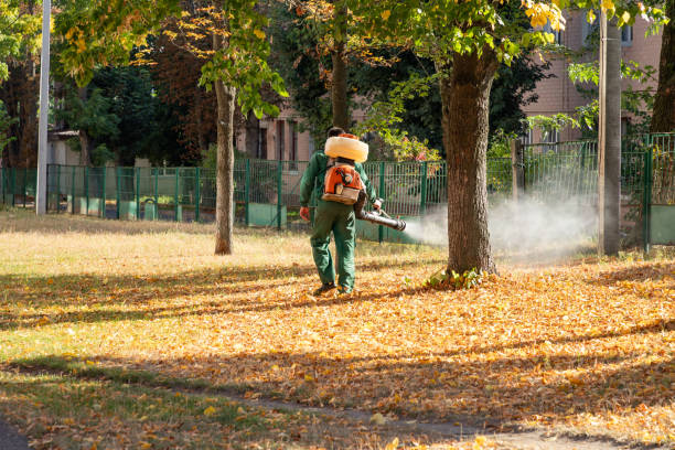 Best Pest Control Near Me in Delta, UT